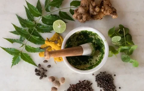 ayu_herbs_3-600-e1350936227846 (1)