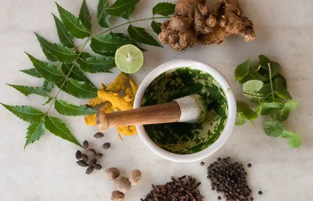 25 Hours Ayurvedic Herbology Course for Yoga Teachers, Yoga Therapists, Health Coaches